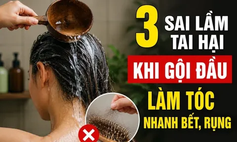 3 sai lầm tai hại khi gội đầu làm tóc nhanh bết, rụng