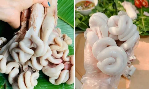 Luộc tràng lợn bao nhiêu phút thì chín? Ăn vừa giòn vừa thơm, trắng bong đẹp mắt