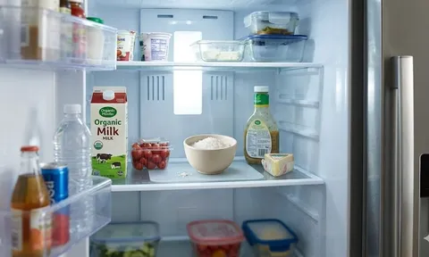 Vì sao nên đặt một bát muối vào tủ lạnh ngay tối nay? Mẹo hay cứu nguy cho chiếc tủ bốc mùi