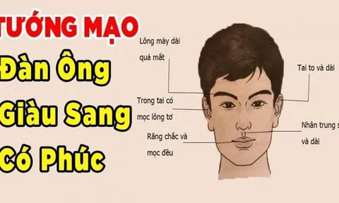 4 tướng đàn ông tài ba xuất chúng: Càng già càng giàu có
