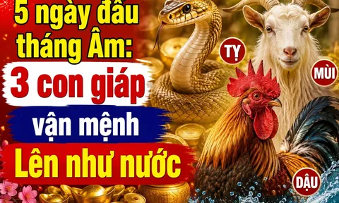 5 ngày đầu tháng Âm: 3 con giáp vận mệnh Lên như nước