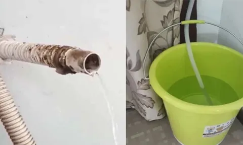 Nước thải từ điều hòa chớ bỏ đi, hóa ra có nhiều công dụng bất ngờ