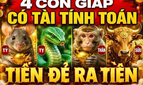 36 giờ tới, 4 con giáp nhận tin tốt về Tiền