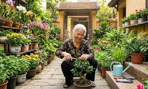 Về già, điều khiến nhiều người hối tiếc nhất không phải là tiền bạc