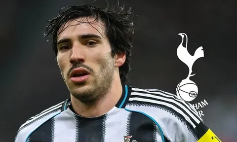 Yếu tố De Zerbi giúp Tottenham đoạt Tonali từ tay Man City?