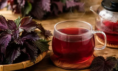 7 sai lầm khi nấu nước lá tía tô khiến dưỡng chất giảm, hương vị kém và hiệu quả không như mong đợi