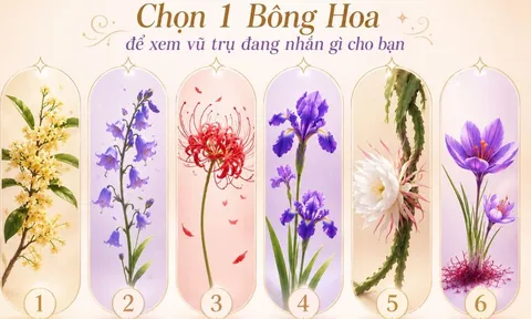 Chọn bông hoa yêu thích nhất để xem vũ trụ đang gửi tới bạn lời nhắn gì