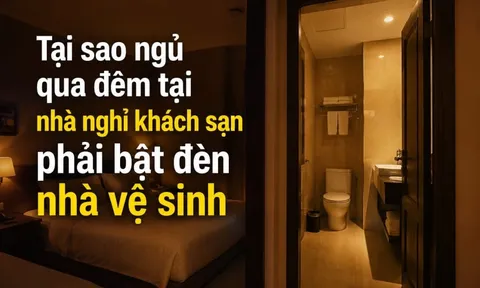 Tại sao ngủ ở khách sạn nên bật đèn nhà vệ sinh xuyên đêm?
