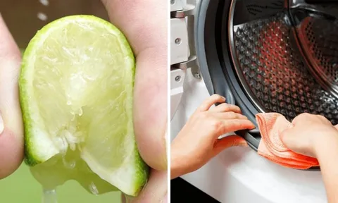 Tại sao bạn nên vắt chanh vào máy giặt?