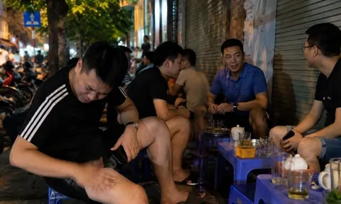 Vì sao có người dễ bị muỗi đốt nhiều hơn người khác? Không phải vì “da thịt thơm”