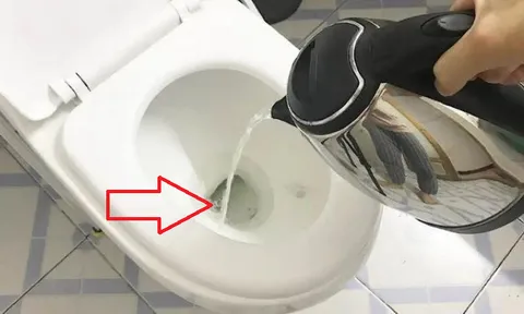 Vì sao khi qua đêm trong khách sạn người ta thường đun 1 bình nước nóng đổ vào nhà vệ sinh?