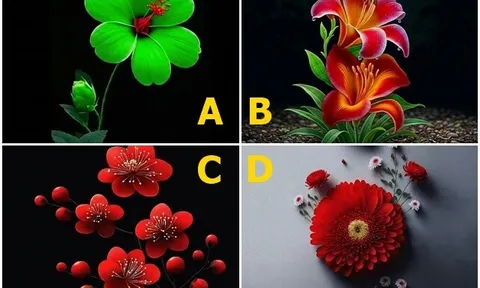 Trắc nghiệm: Chọn một bông hoa, biết ngay nửa kia yêu bạn sâu đậm hay chỉ cố giữ hòa khí vì... sợ
