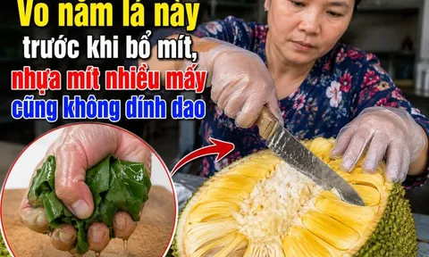 Vo nắm lá này trước khi bổ mít, nhựa mít nhiều mấy cũng không dính dao