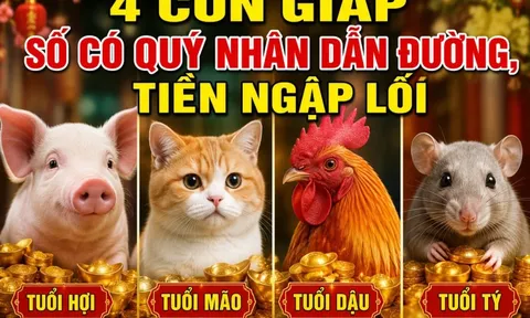 4 con giáp số có Quý Nhân dẫn đường, Tiền ngập lối