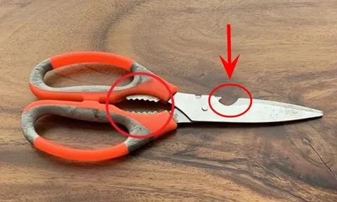 Vì sao trên mỗi chiếc kéo đều có những lỗ khuyết, lỗ răng cưa?