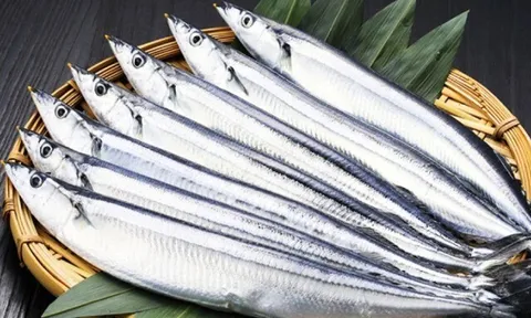 12 loại thuỷ hải sản kiểm soát lượng mỡ cực tốt, bảo vệ sức khỏe toàn diện, giá rẻ từ 20.000 đồng, bán đầy chợ Việt