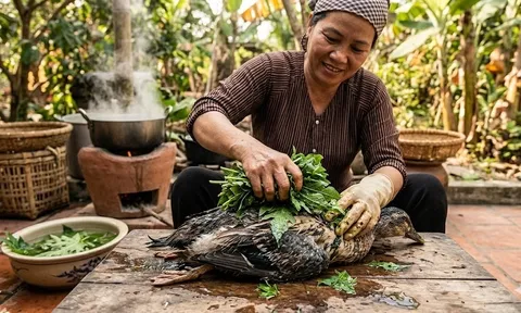 Bí quyết vặt lông vịt "siêu tốc", sạch bong không sót một cọng lông măng nhờ... nắm lá đu đủ
