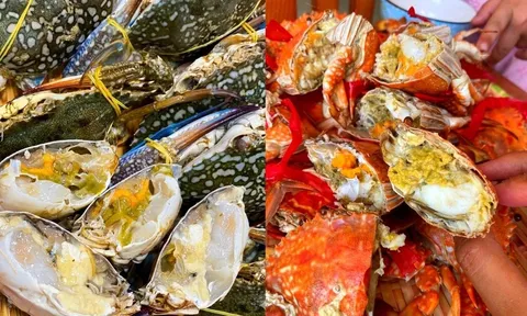 Cách chọn ghẹ tươi ngon, thịt chắc, nhiều gạch