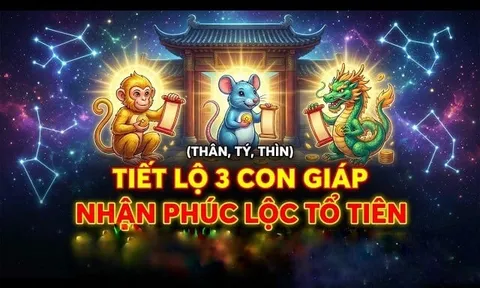 3 con giáp Tổ Tiên tích phúc lại cho, 3 năm tới no nê hưởng