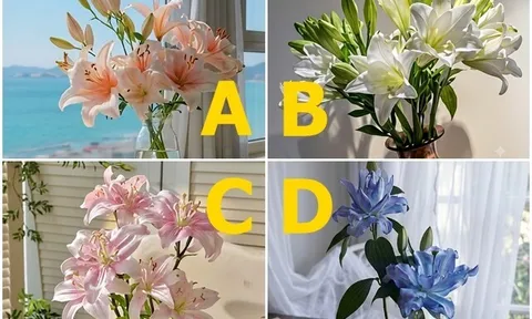 Trắc nghiệm: Chọn một bình hoa ly để khám phá hôn nhân của bạn sẽ trải qua bao nhiêu thử thách