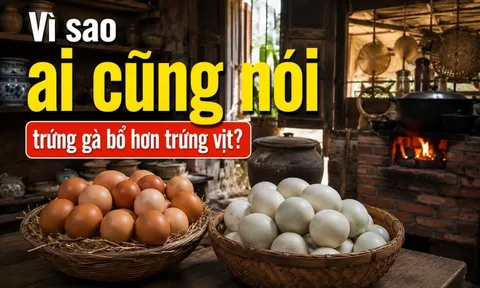 Vì sao ai cũng nói trứng gà bổ hơn trứng vịt?