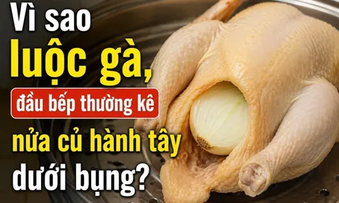 Vì sao luộc gà đầu bếp thường kê nửa củ hành tây dưới bụng?
