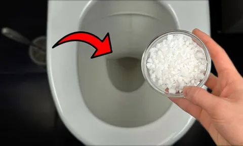 Tại sao bạn nên thả một nắm muối vào bồn cầu?