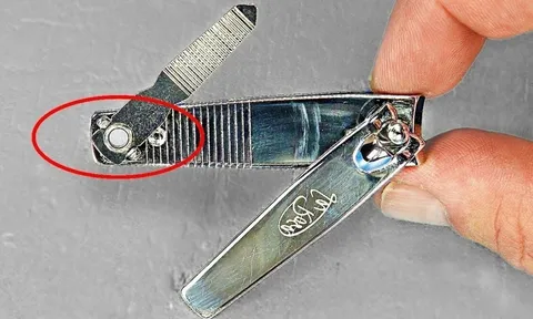 Tại sao đồ bấm móng tay thường có một lỗ tròn nhỏ ở đuôi?