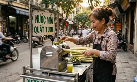 Tại sao người bán nước mía luôn ép kèm quả quất? Hóa ra không phải chỉ để cho thơm!