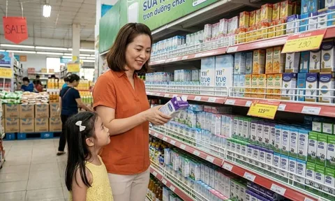 Tại sao siêu thị luôn đặt sữa ở trong cùng? Sự thật phía sau "chiêu trò" khiến bạn tốn tiền