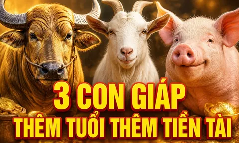 Tích phúc đức về già: 3 con giáp thêm tuổi thêm Tiền Tài