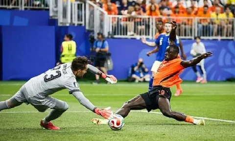 Koeman cao tay, Hà Lan đè bẹp Thụy Điển 5-1