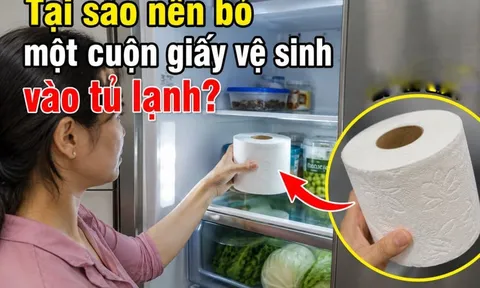 Tại sao nên bỏ một cuộn giấy vệ sinh vào tủ lạnh?