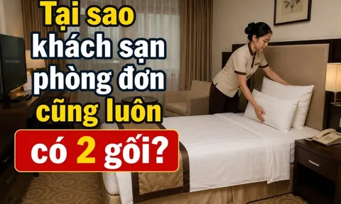 Tại sao khách sạn phòng đơn cũng luôn có 2 gối?