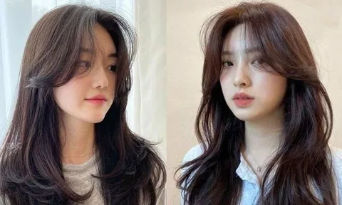 Những tiêu chí quan trọng khi chọn dầu gội giúp mái tóc trông dày và khỏe hơn
