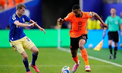 Tin đồn chuyển nhượng tối 22/6: Tottenham hỏi mua Cody Gakpo; Julian Alvarez muốn gia nhập Barcelona