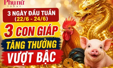 3 ngày đầu tuần (22/6-24/6), 3 con giáp tăng thưởng vượt bậc