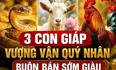 3 con giáp Vượng Vận Quý Nhân, buôn bán sớm giàu