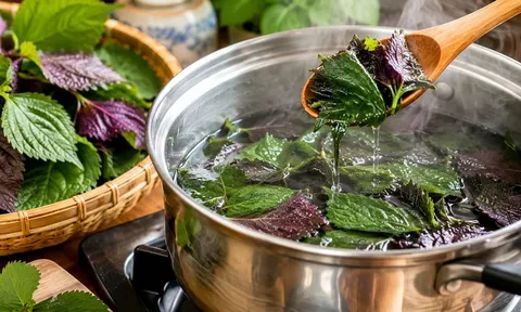 Lá tía tô đừng nấu quá lâu: Đâu mới là “khoảng thời gian vàng” để giữ dưỡng chất?
