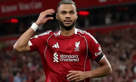 Liverpool quyết giữ chân Gakpo sau kỳ World Cup thăng hoa