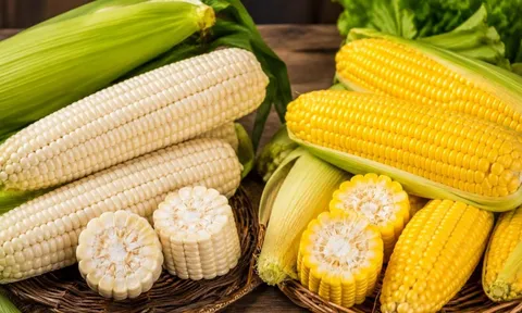 Ngô nếp trắng hay ngô ngọt vàng bổ dưỡng hơn? Nên chọn loại nào?