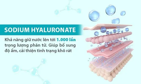 Điều gì tạo nên hiệu quả của viên đặt cấp ẩm Novofemi Advanced Night Repair khiến chị em tin chọn?