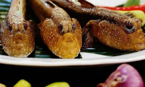 12 đặc sản nổi tiếng ở Cà Mau, có món nhìn “nổi da gà” nhưng vô cùng thơm ngon, thực khách tò mò muốn thử