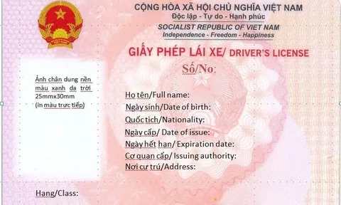 3 trường hợp bị thu hồi Giấy phép lái xe trong năm 2026: Đó là trường hợp nào