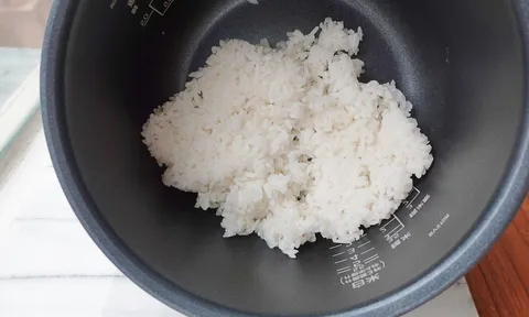 Mùa hè nắng nóng, học ngay cách giữ cơm nguội không bị ôi thiu