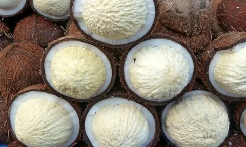 Món nhà nghèo xưa ăn đến chán ngán, nay thành đặc sản khoái khẩu giá 250.000 đ/kg, người thành phố ưa chuộng