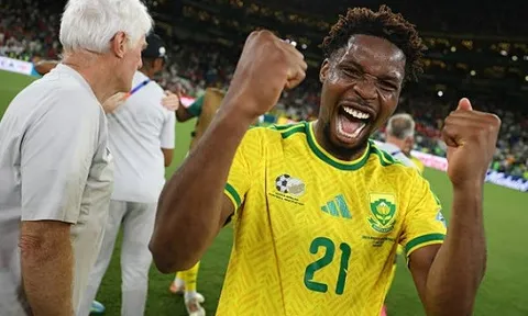 Nam Phi được vinh danh sau chiến tích World Cup lịch sử