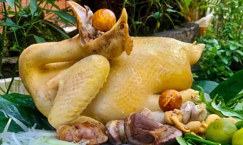 Cách luộc thịt gà mềm ngọt, chắc thịt, không nứt da đỏ xương