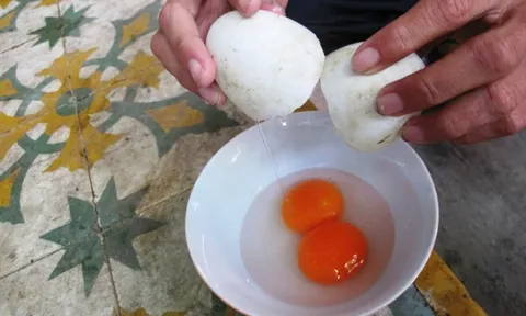 Ăn trứng 2 lòng đỏ có bổ hơn trứng thường không?