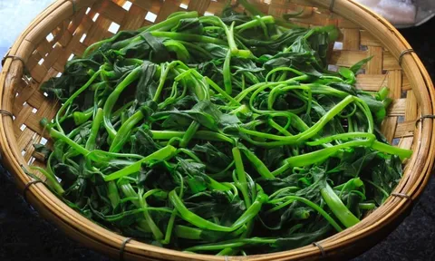Vì sao luộc rau nên cho vào nồi vài hạt muối?